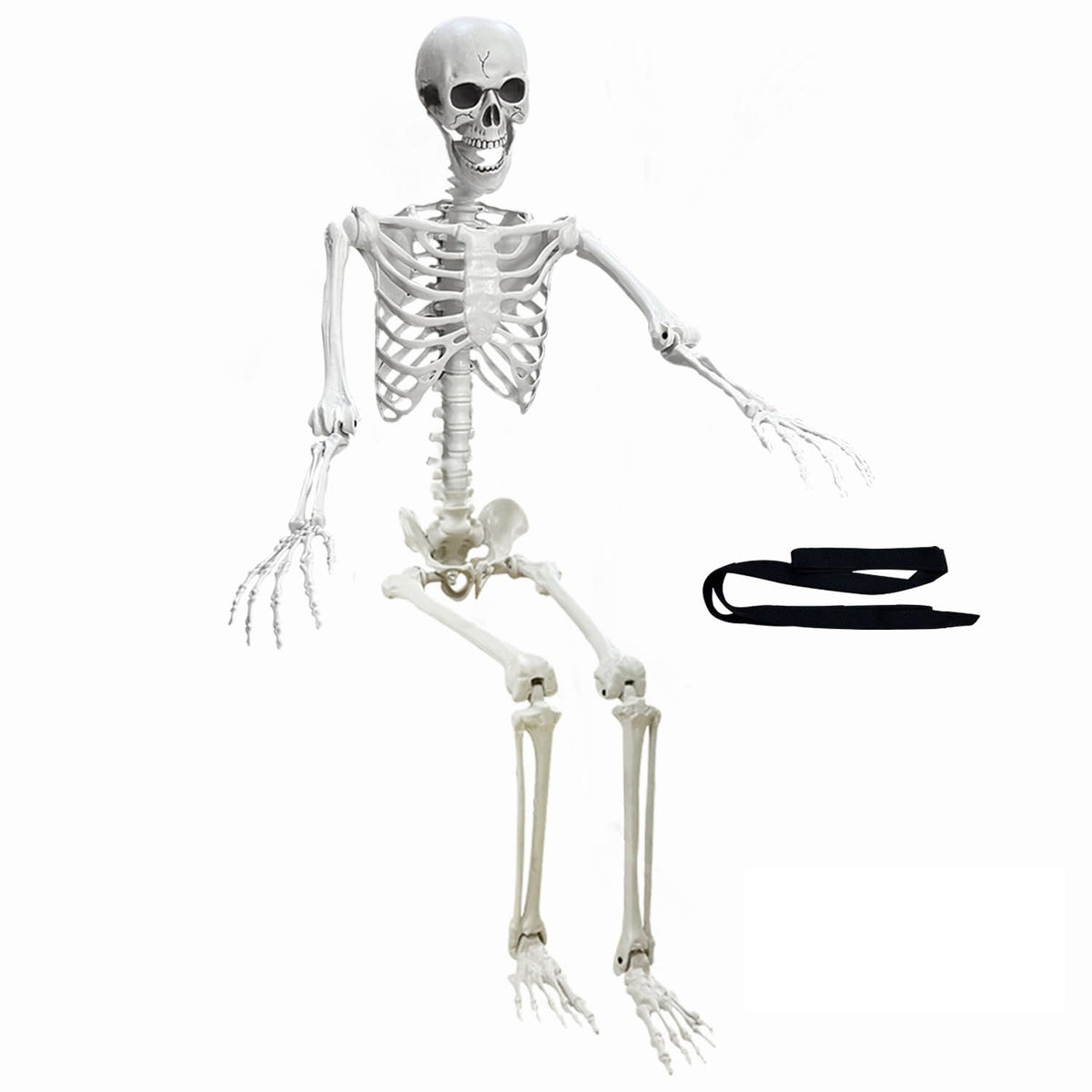5.4Ft Poseable Life Size Human Skeleton with Rope U635734
