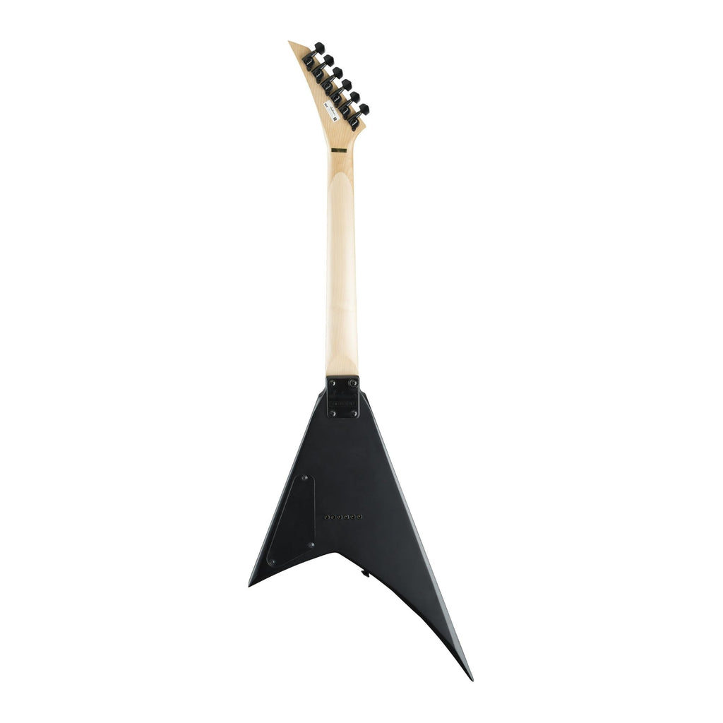 Electric Guitar A319862