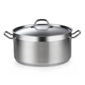 9 Quart Stainless Steel Stock Pot W2833