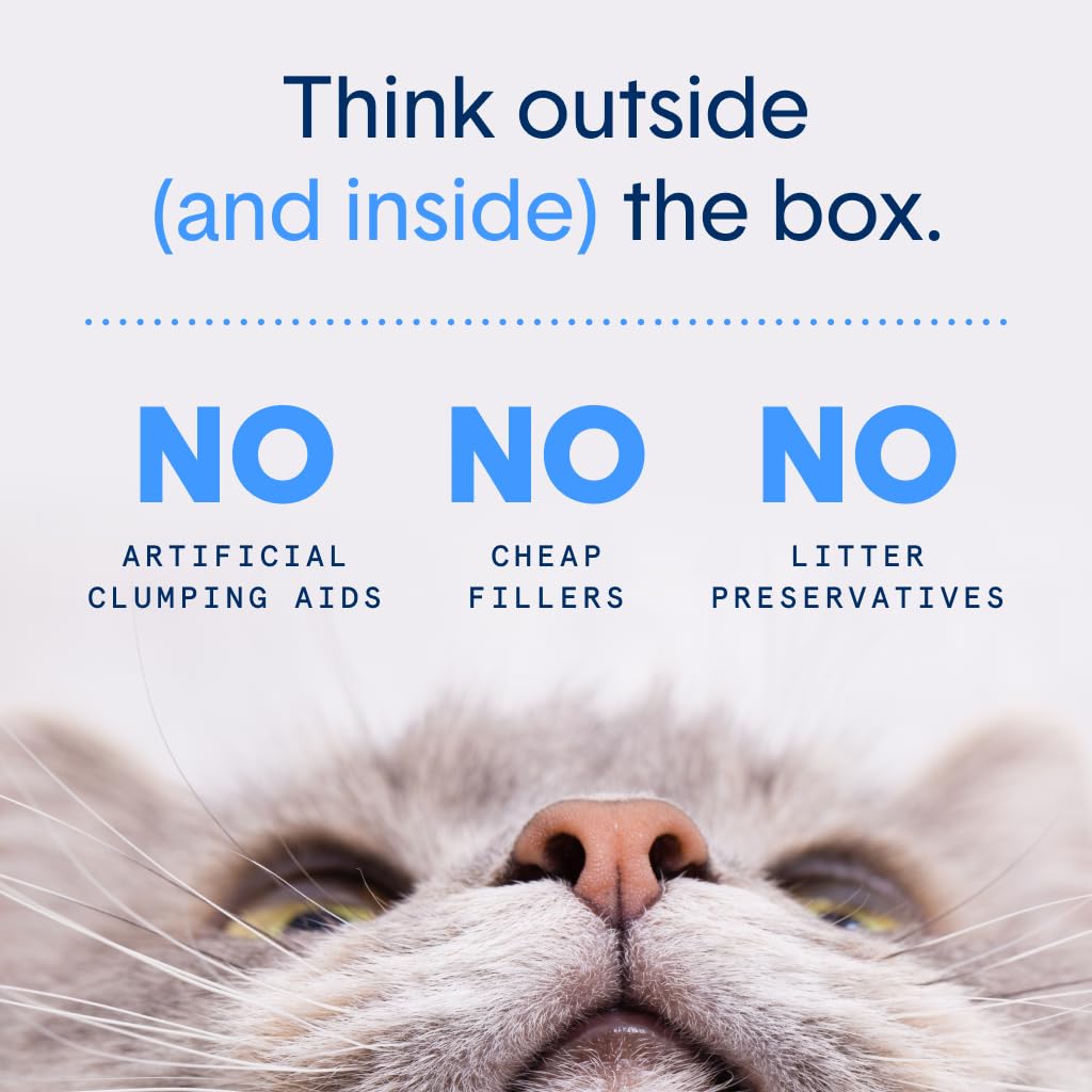 Unscented Clumping Cat Litter 16 lb I8561