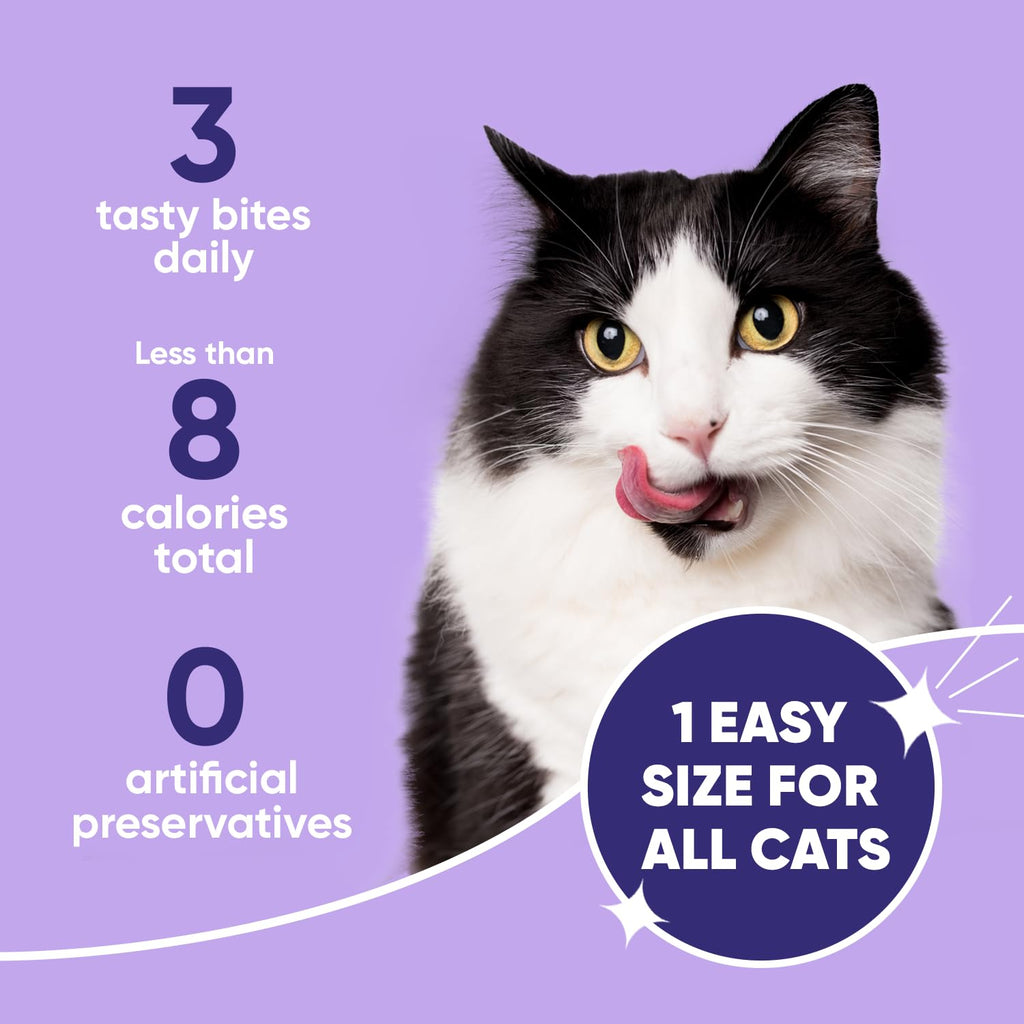 Cat Dental Care K72320