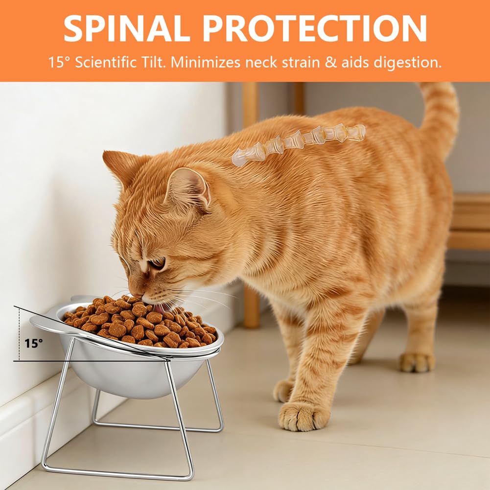 2 Pack Stainless Steel Elevated Cat Bowls T791684