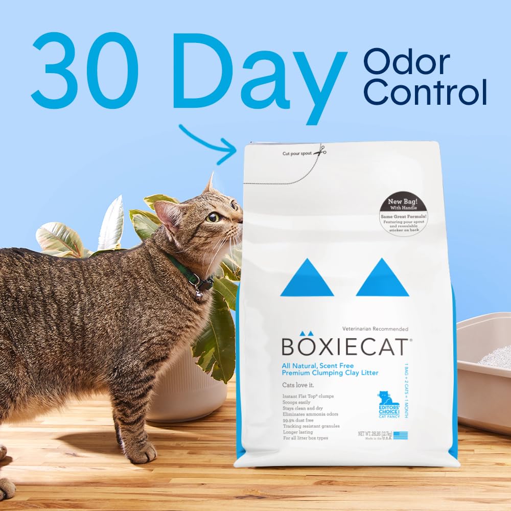 Unscented Clumping Cat Litter 16 lb I8561