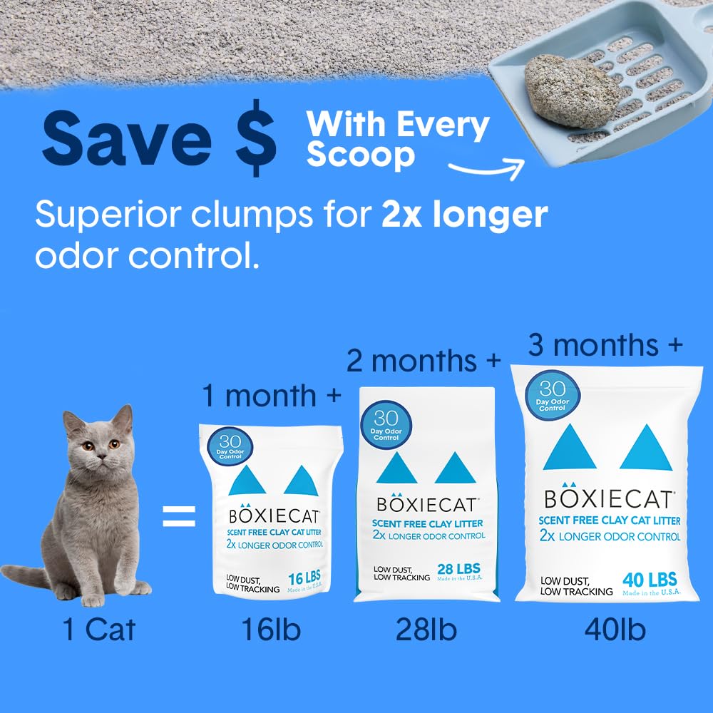 Unscented Clumping Cat Litter 16 lb I8561