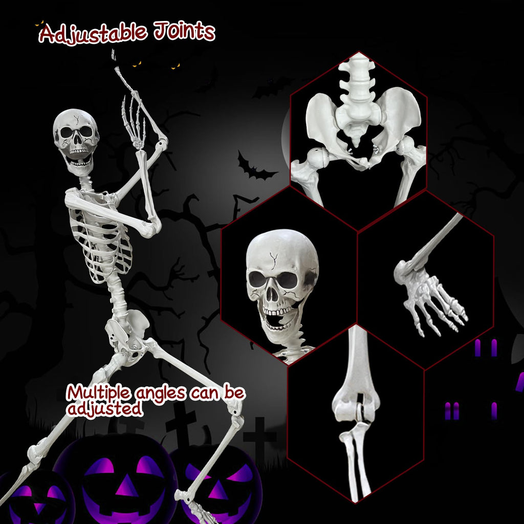 5.4Ft Poseable Life Size Human Skeleton with Rope U635734