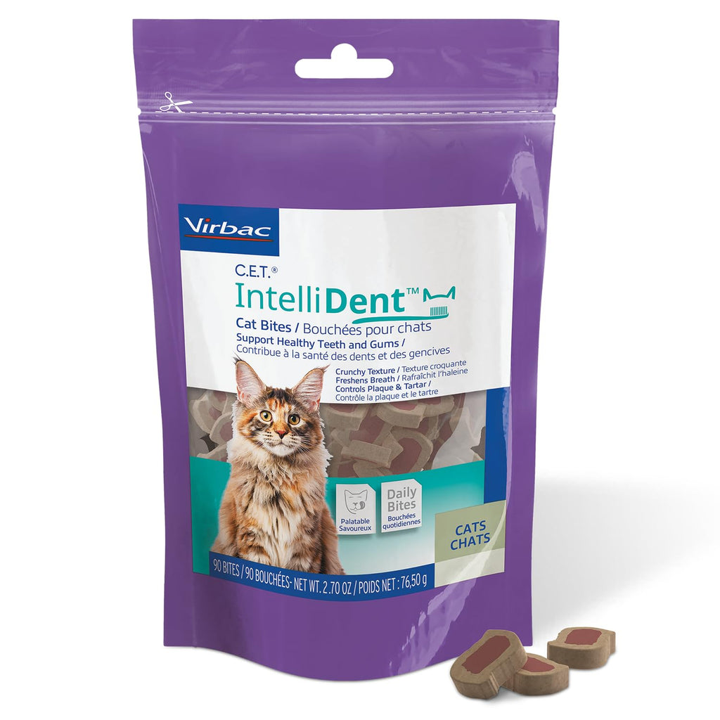 Cat Dental Care K72320