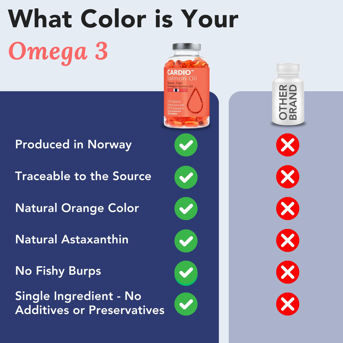 Omega 3 Fish Oil 1000mg 90 Capsules C20462