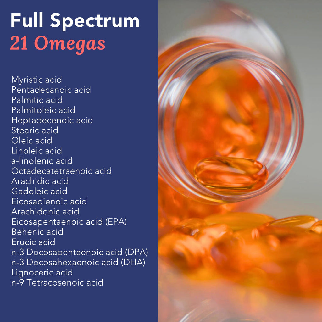 Omega 3 Fish Oil 1000mg 90 Capsules C20462