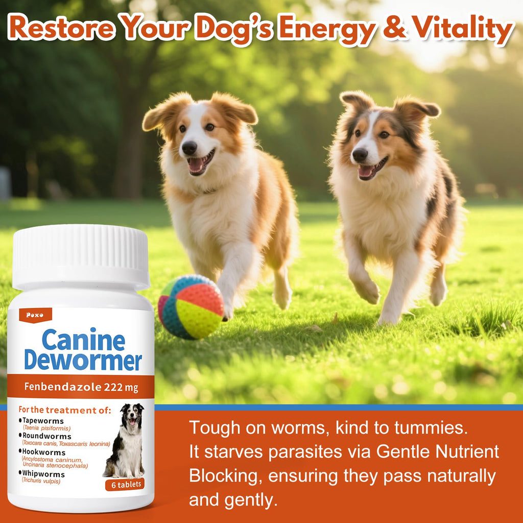 Fenbendazole Tablets for Dogs 6 Tablets Z789