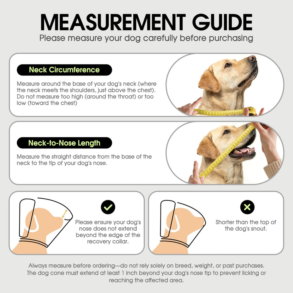 Soft Cone for Dogs T450359
