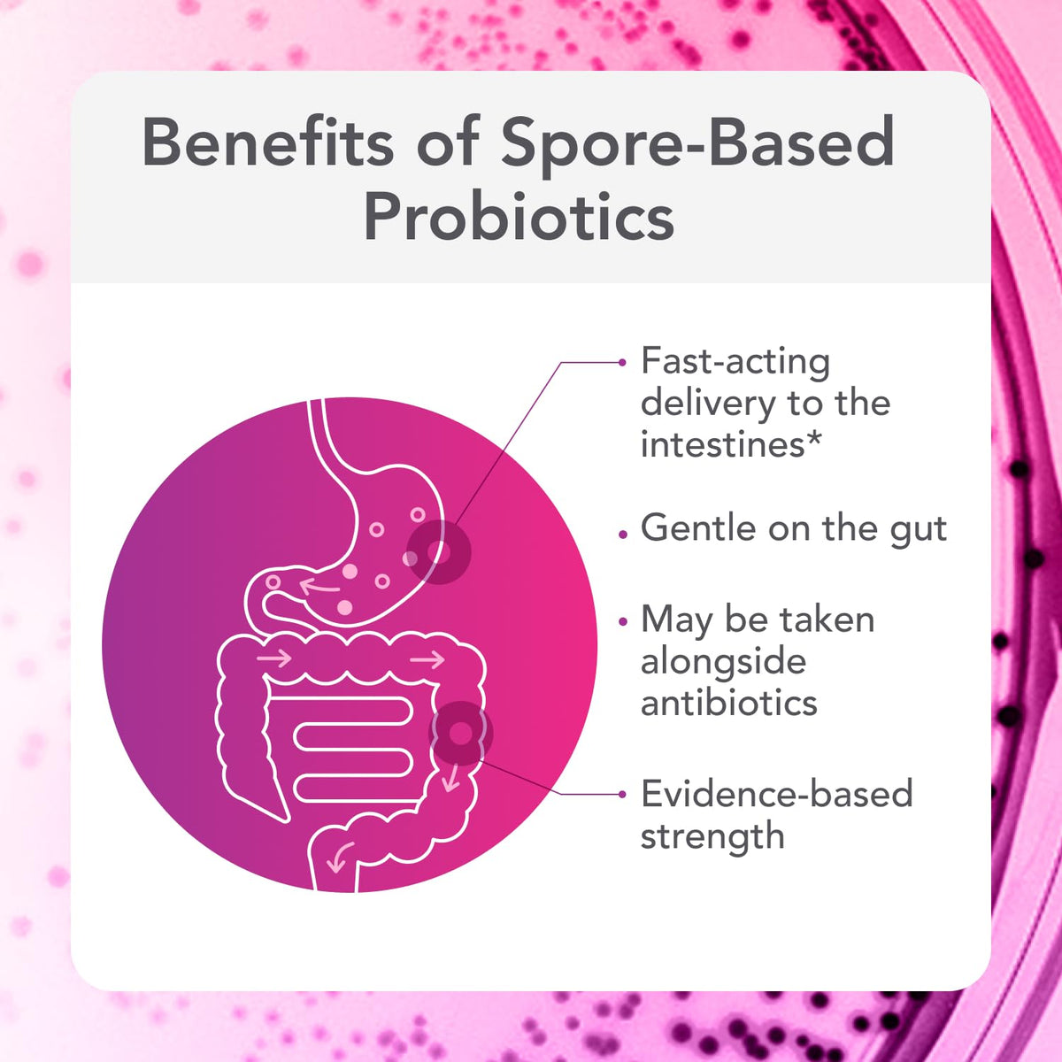 30 Count Spore Probiotic W176307