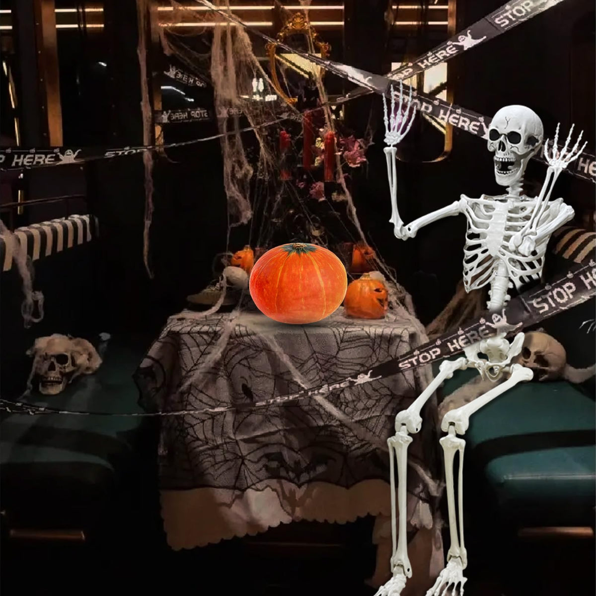 5.4Ft Poseable Life Size Human Skeleton with Rope U635734