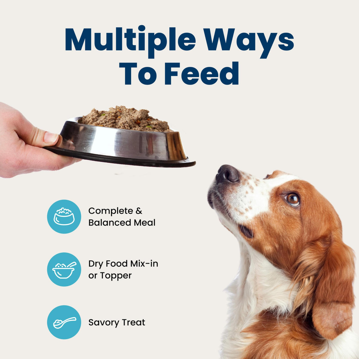 Wet Dog Food 12.5 oz 6 ct U75130