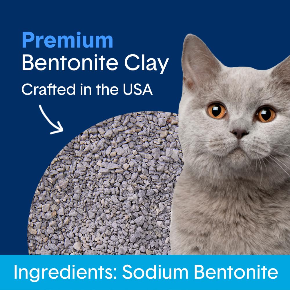 Unscented Clumping Cat Litter 16 lb I8561