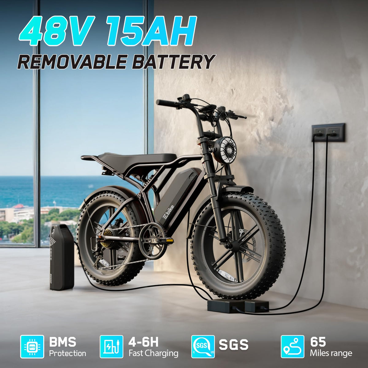Electric Bike 48V 2000W Motor Y455745