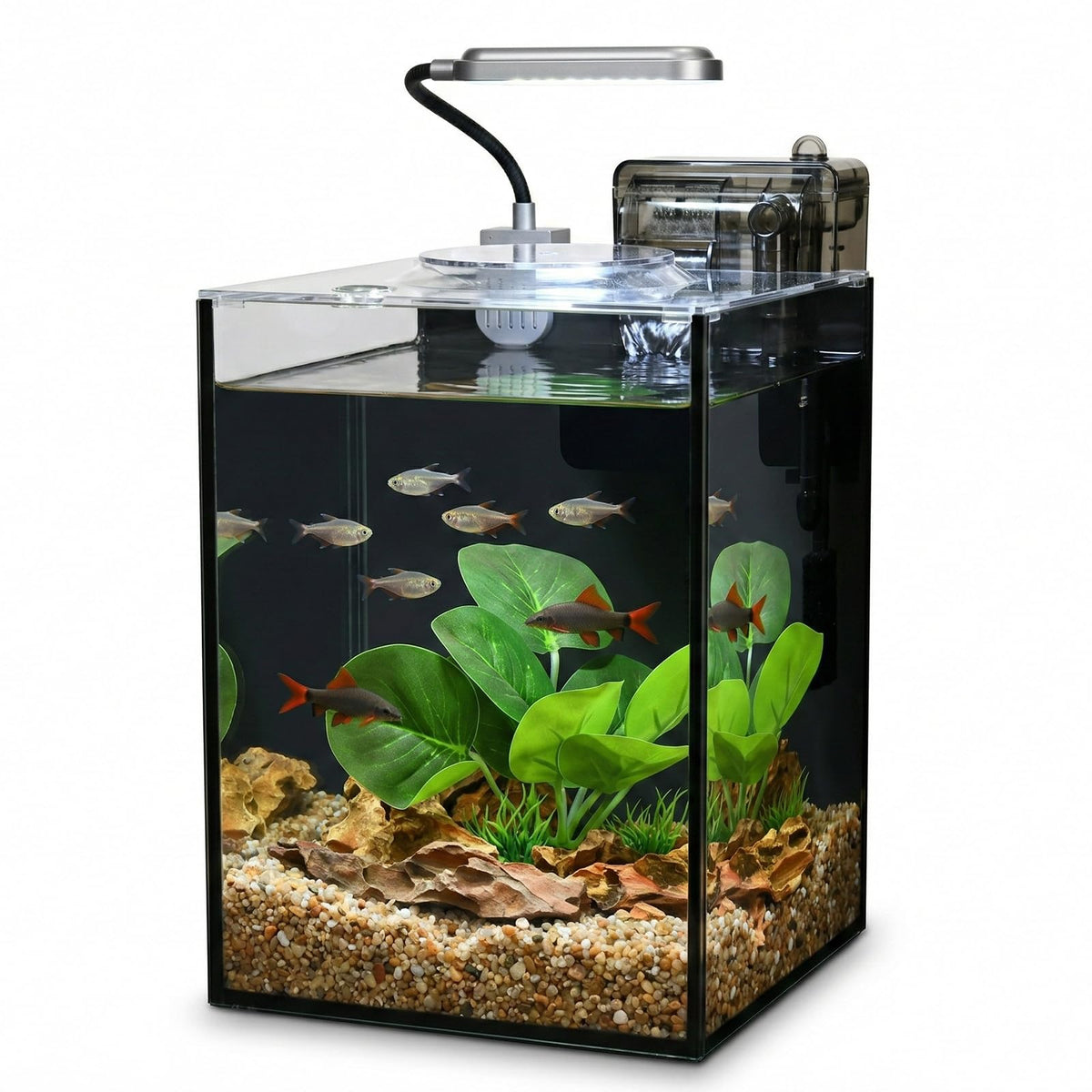 2.2 Gallon Glass Aquarium Set C126