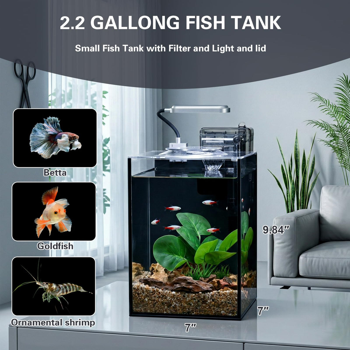 2.2 Gallon Glass Aquarium Set C126