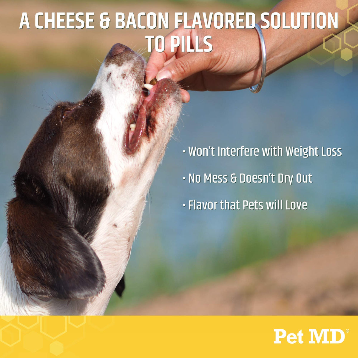 Cheese & Bacon Flavor Pill Paste for Dogs 4.2 oz I257