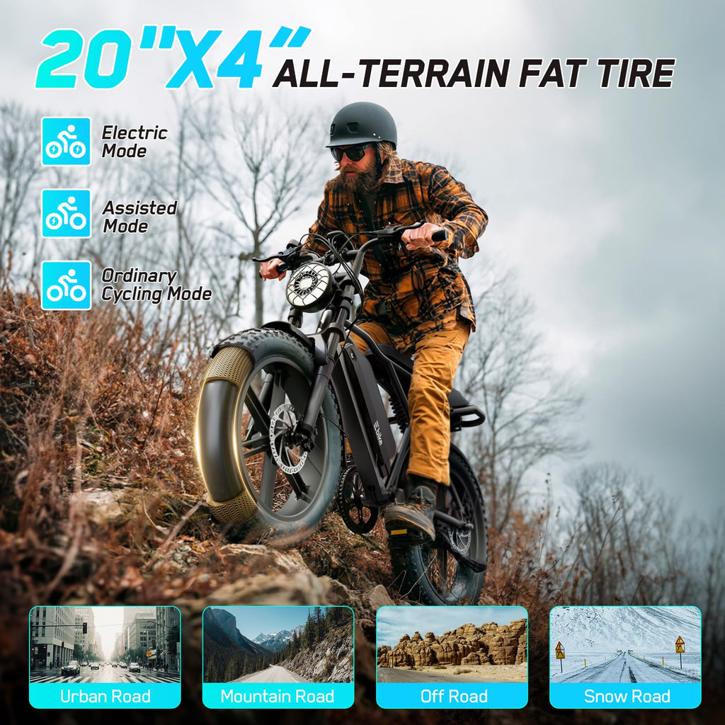 Electric Bike 48V 2000W Motor Y455745
