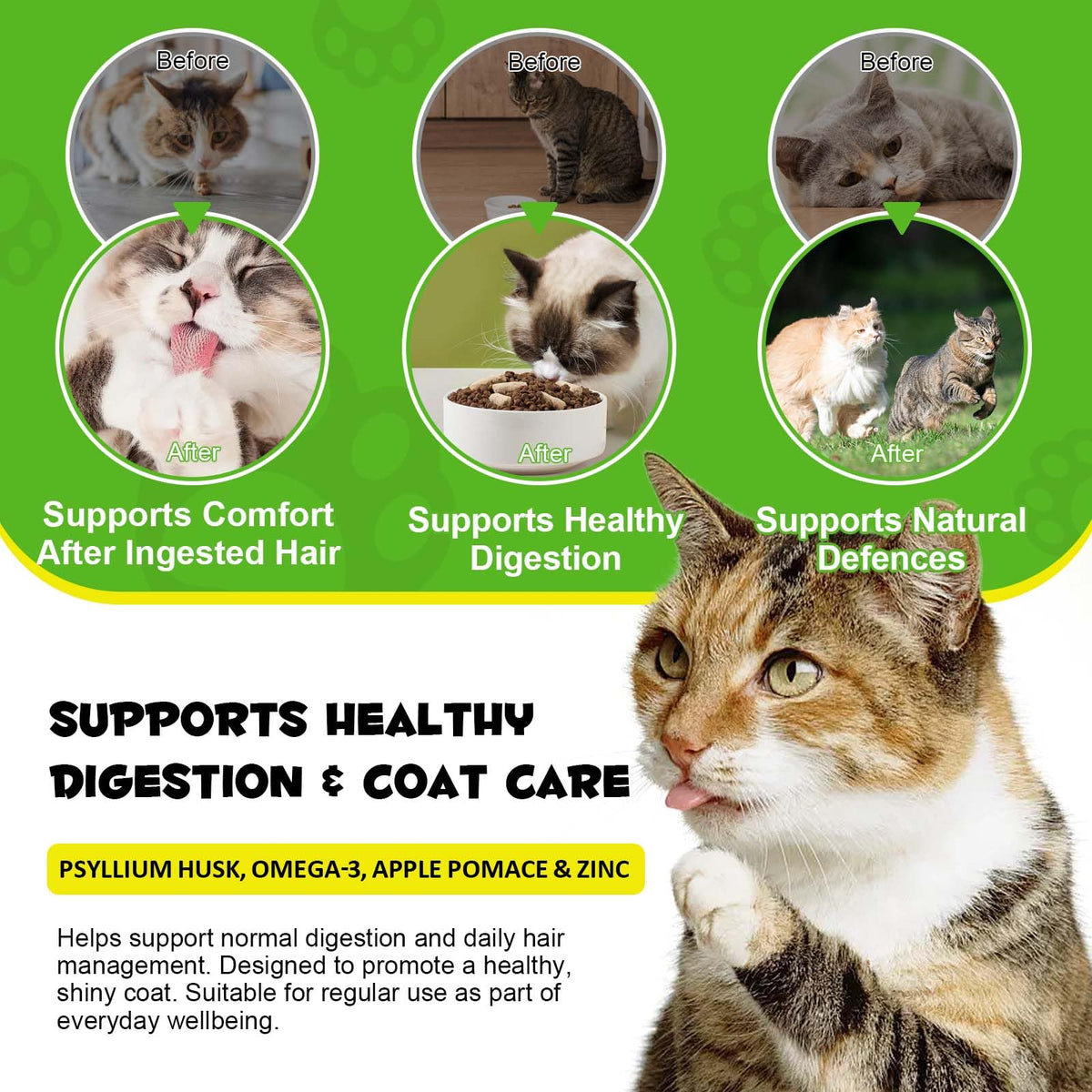 Chicken Flavor Hairball Support Chews Z42795