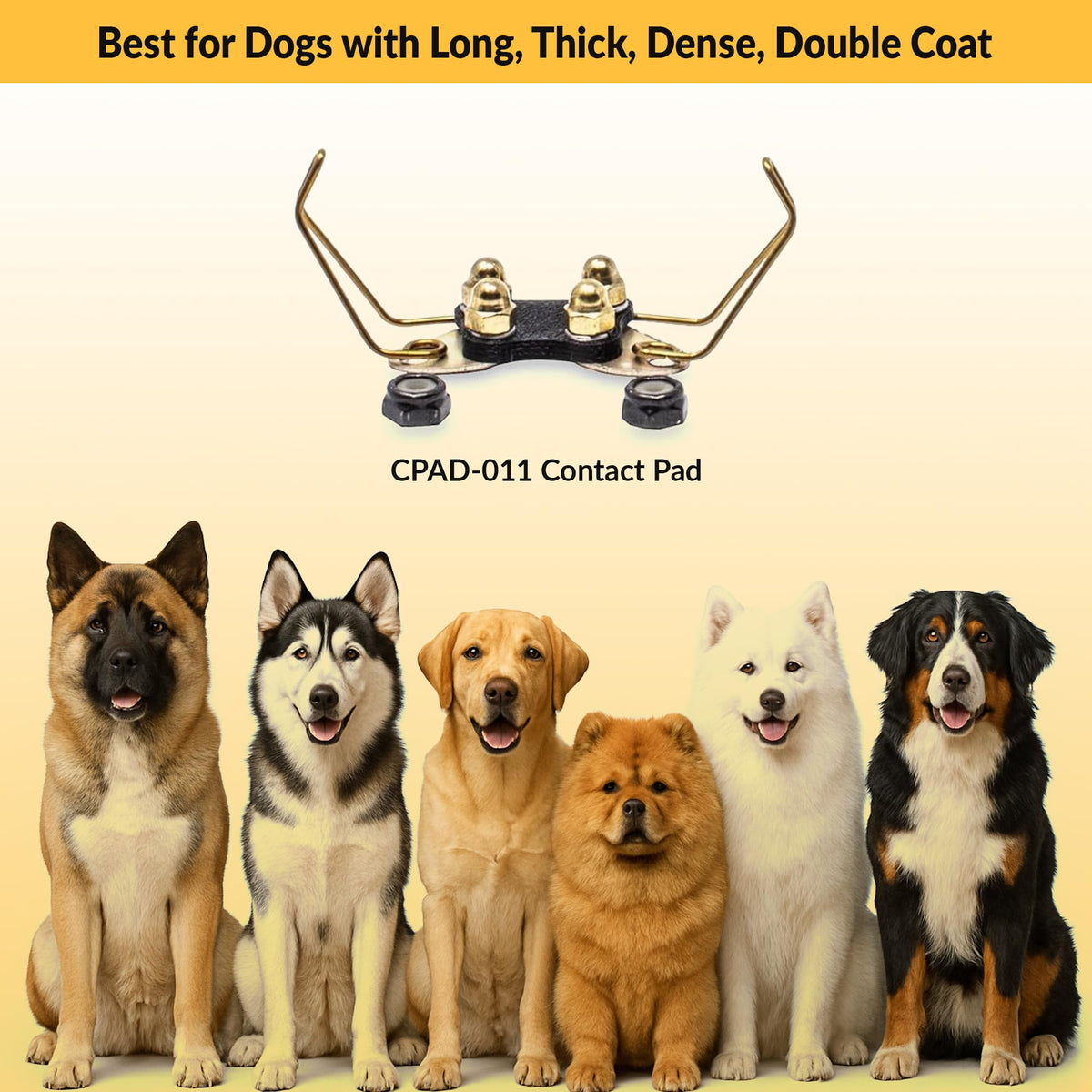 Brass Contact Pads for Training Collars Q55362