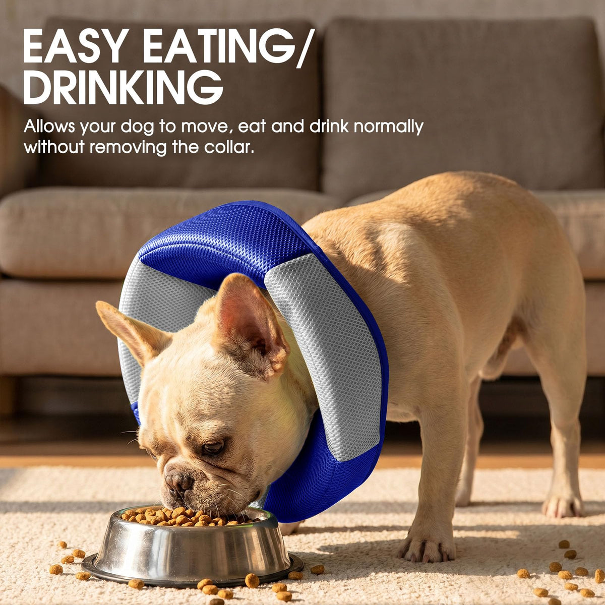 Soft Cone for Dogs T450359