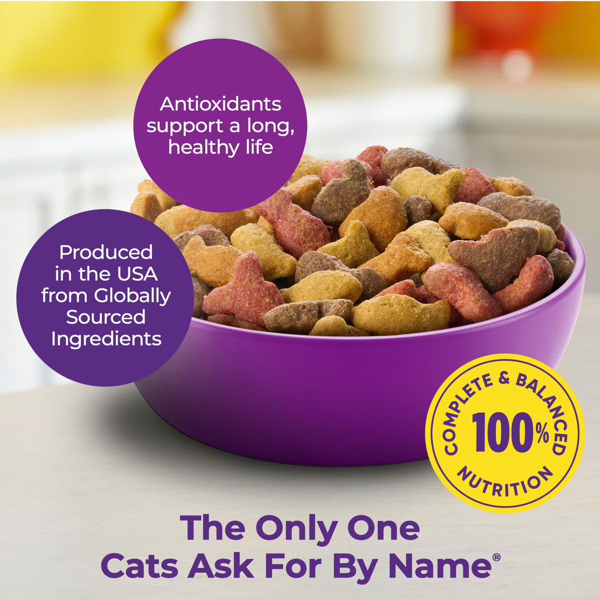 Dry Cat Food 6.3 Pound and Wet Cat Food Variety Pack 2.75 Ounce (Pack of 24) Q357801