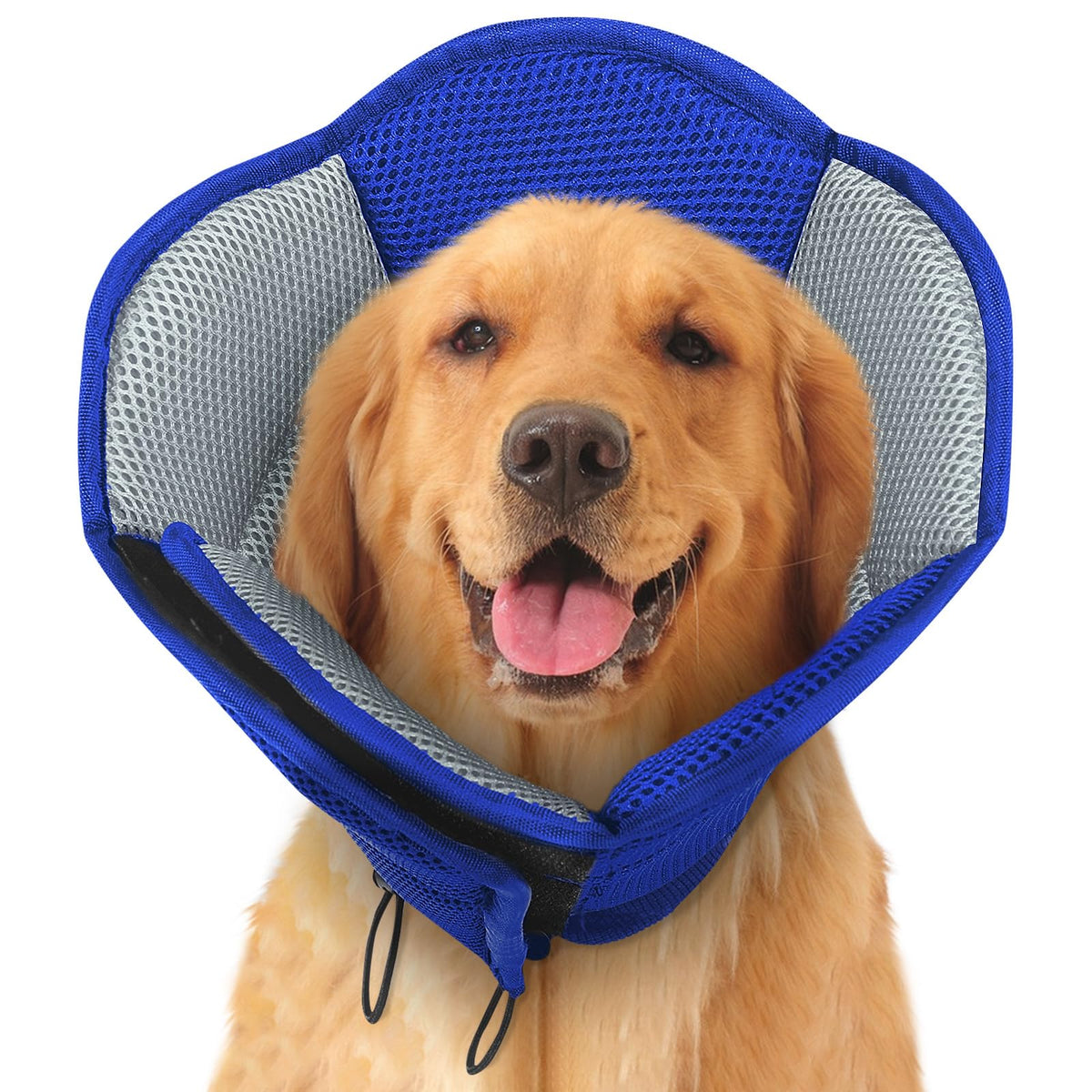Soft Cone for Dogs T450359