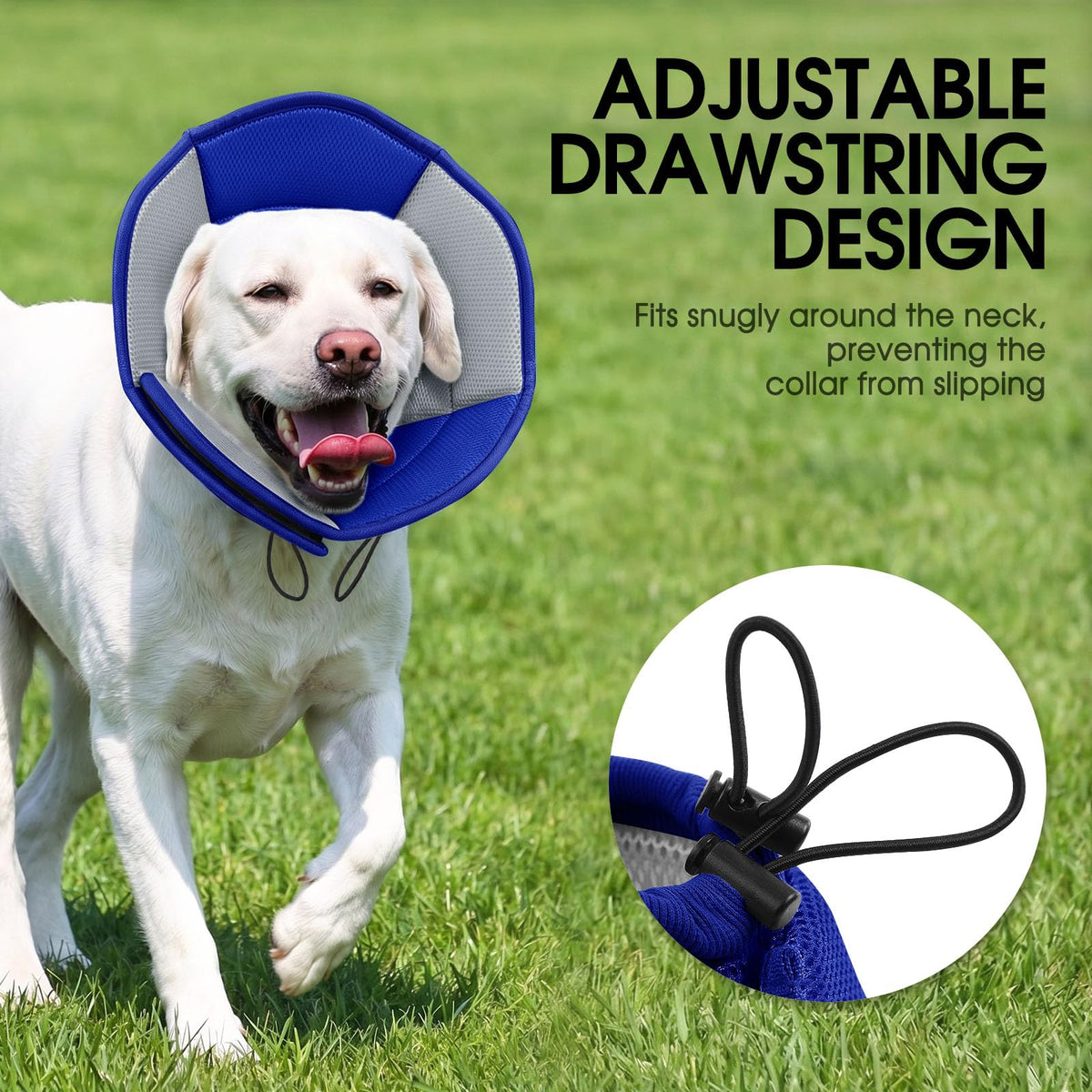 Soft Cone for Dogs T450359