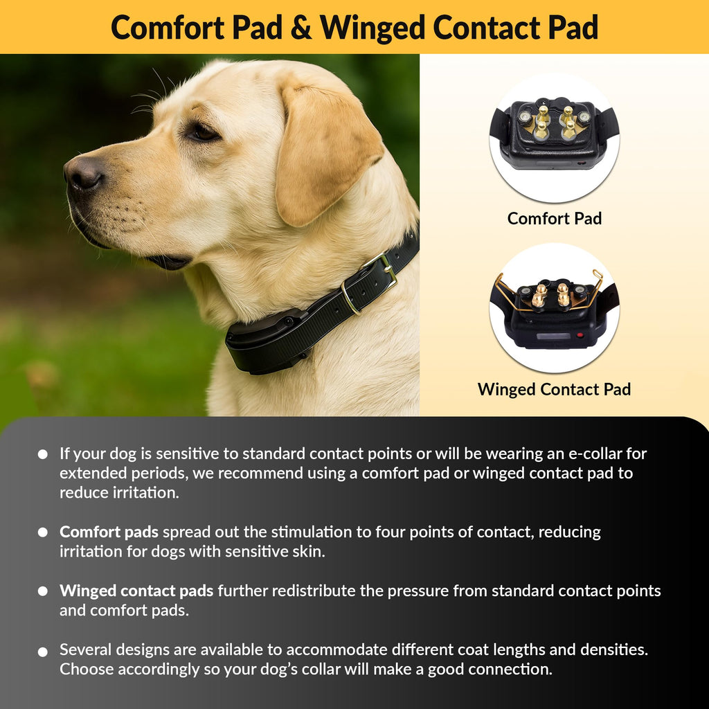 Brass Contact Pads for Training Collars Q55362